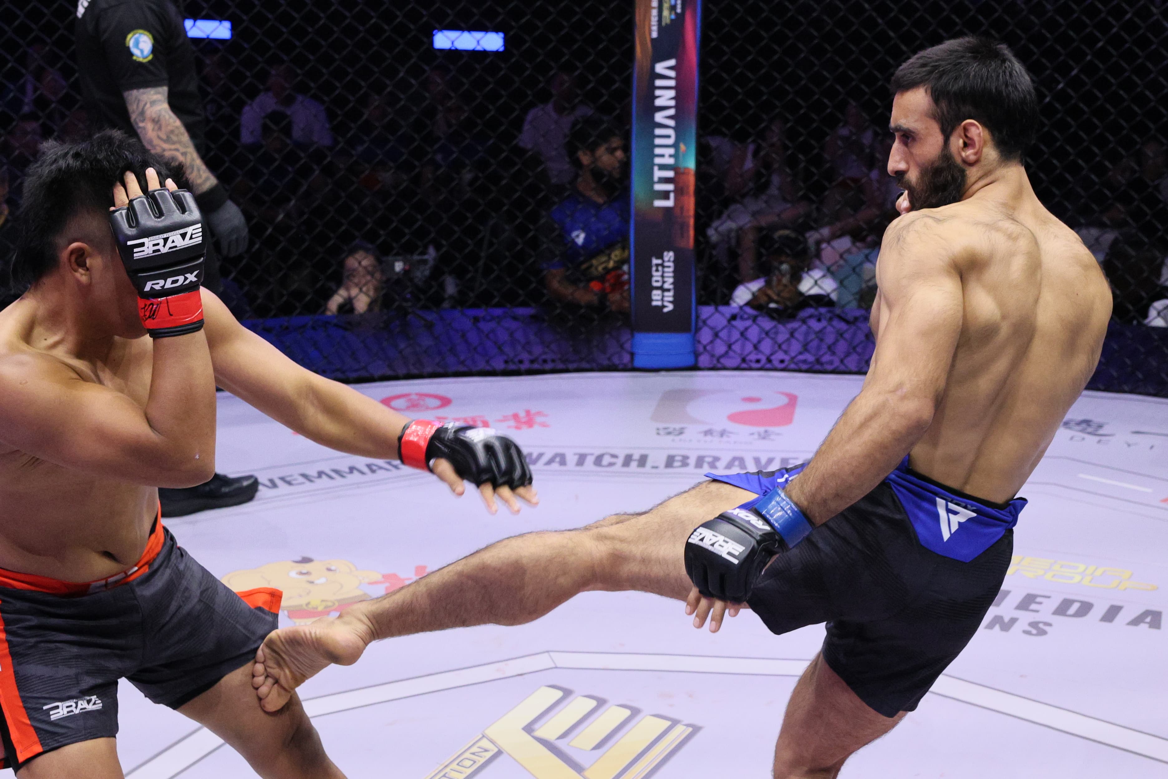 Image with UFC fighter 2