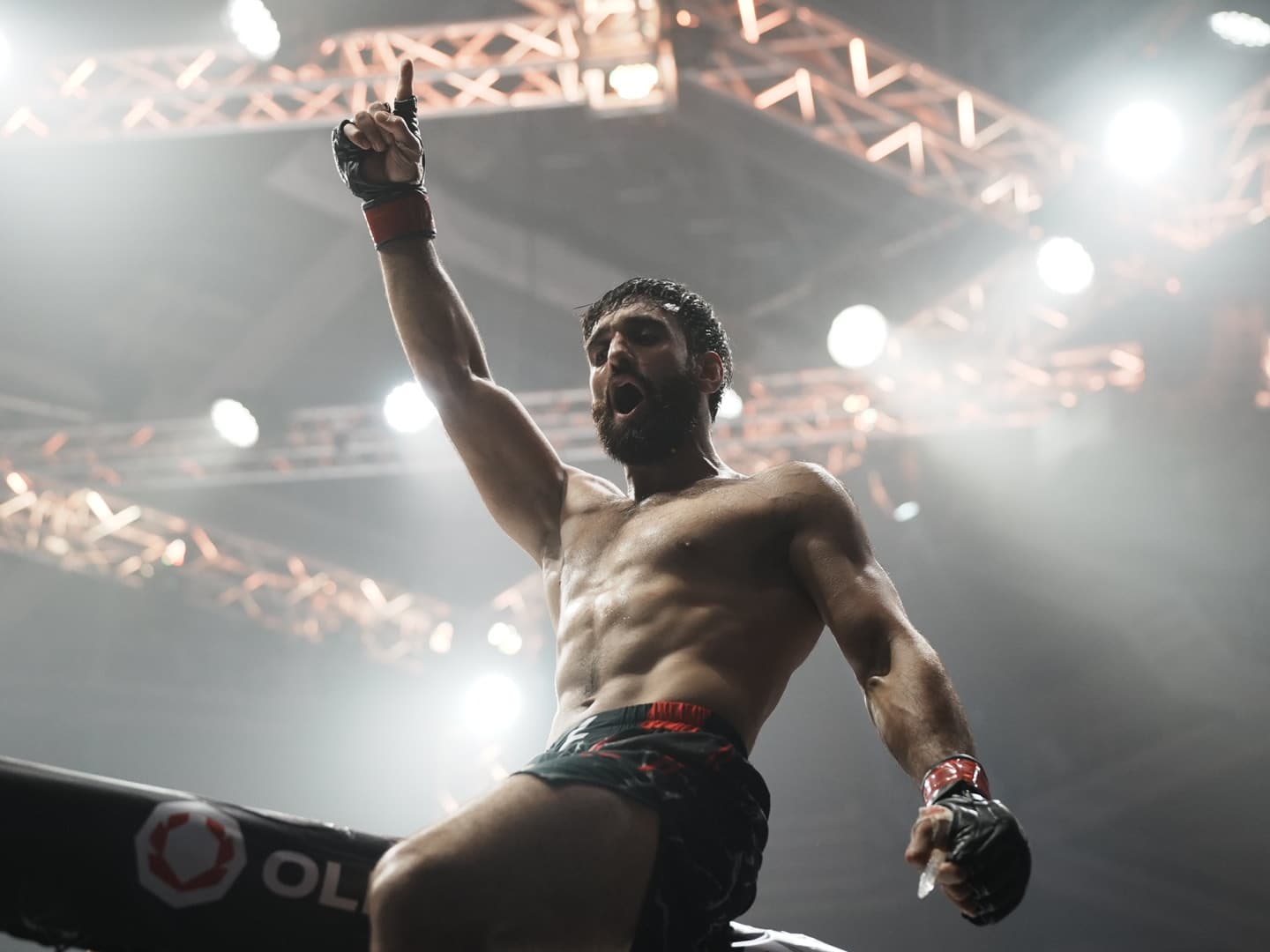 Picture of the fighter